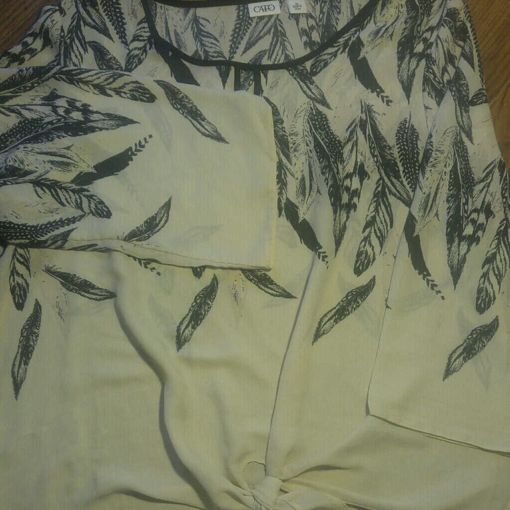 Cato sheer blouse